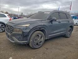 Hyundai Santa fe salvage cars for sale: 2023 Hyundai Santa fe sel