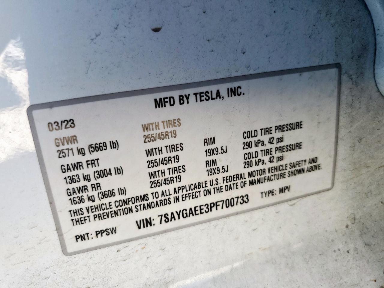 2023 Tesla Model y