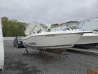1996 Seaswirl Striper Boat
