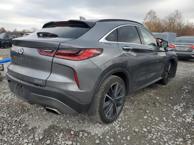 2024 Infiniti Qx55 Essential