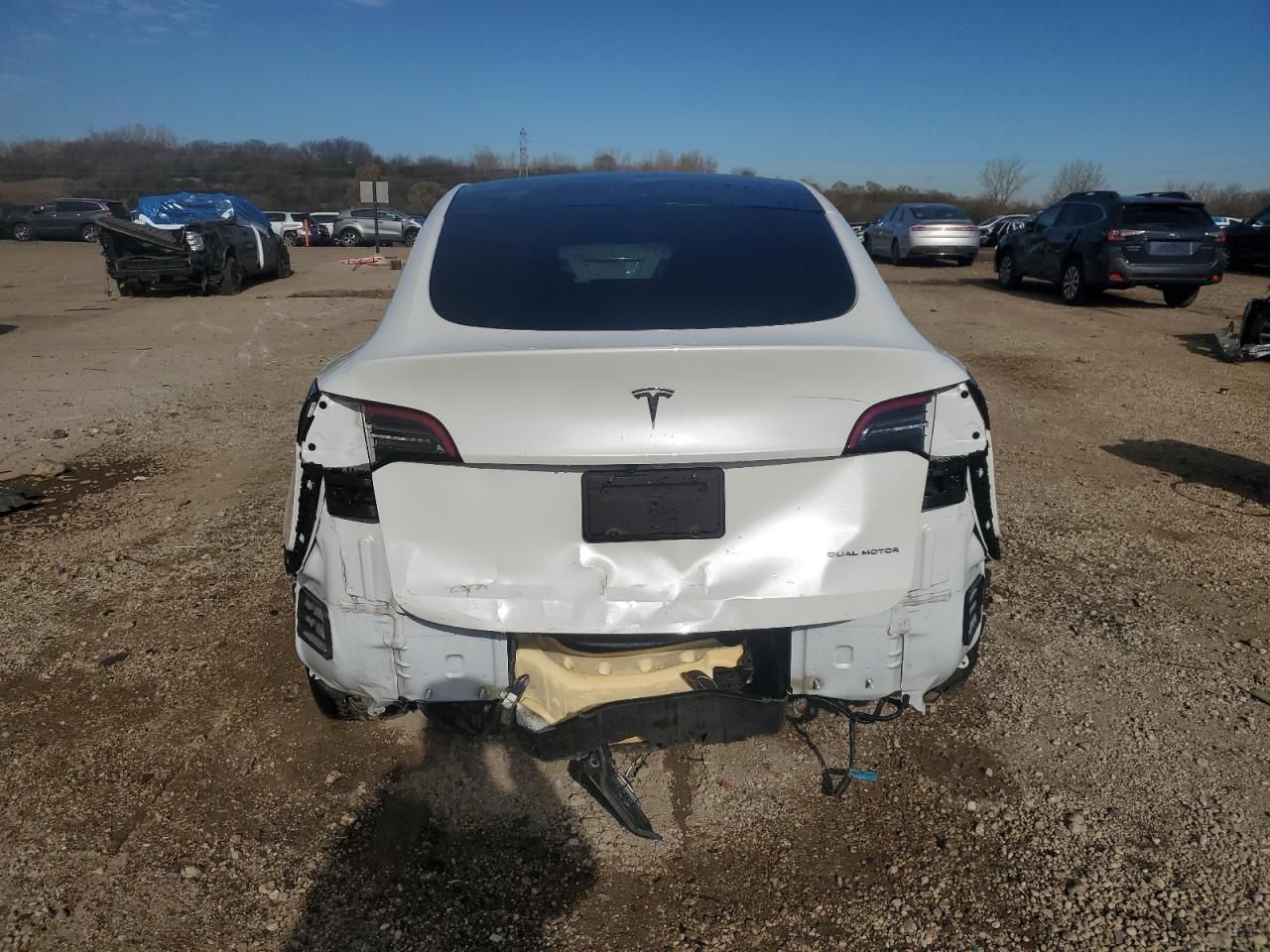 2020 Tesla Model y