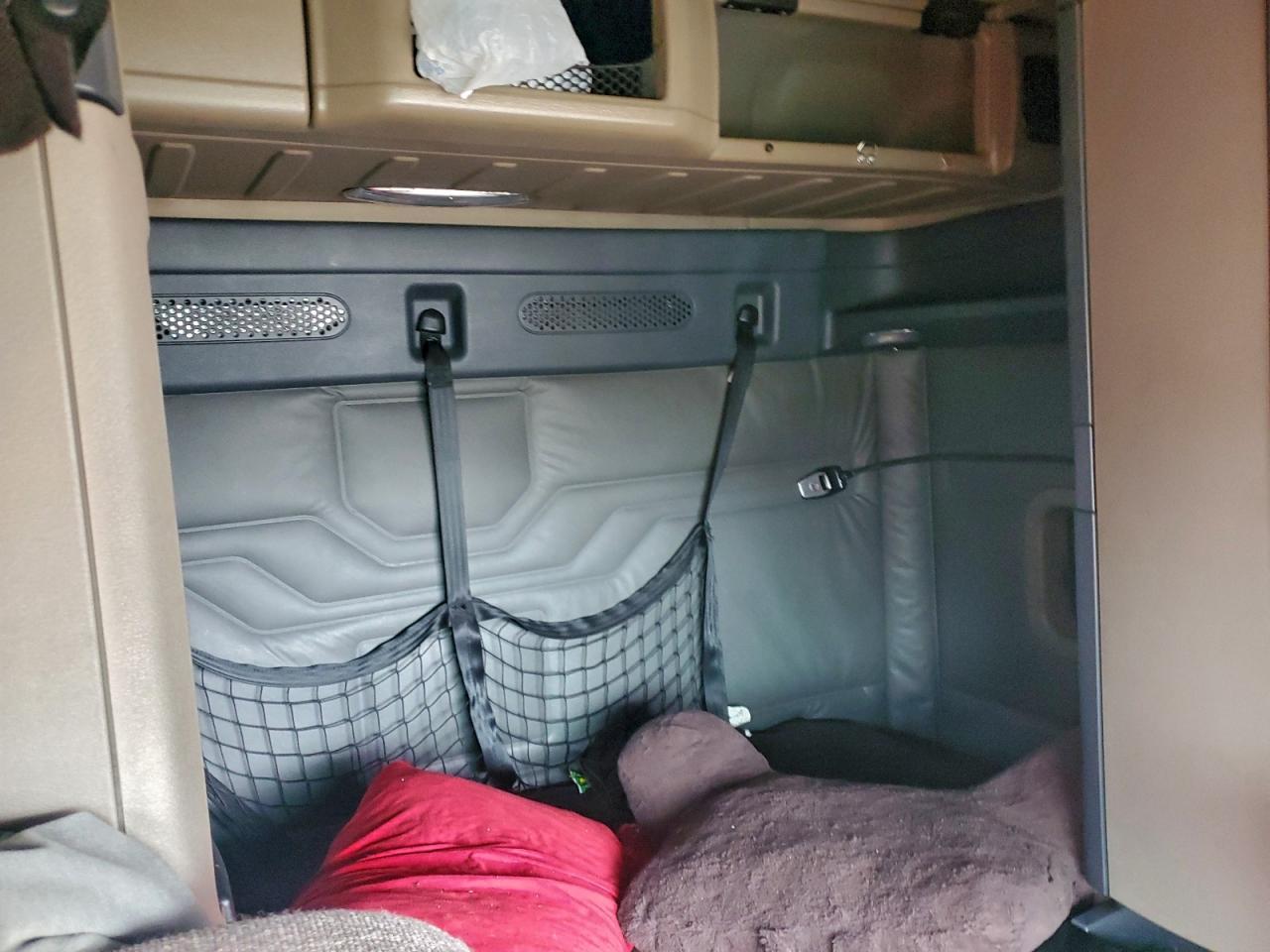 2019 Freightliner Cascadia 113 Semi Truck