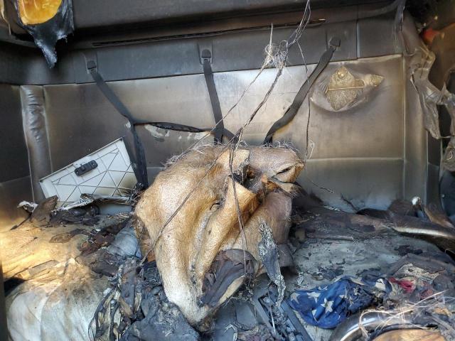 2021 Freightliner Cascadia 126 Semi Truck