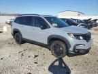 2022 Honda Pilot Trailsport