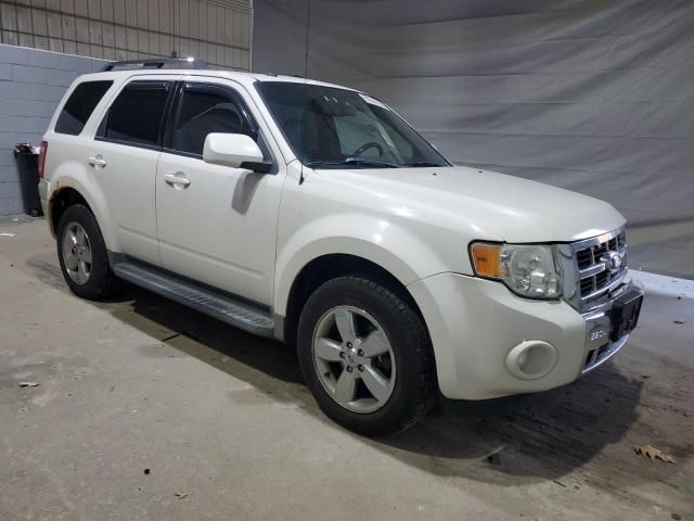 2009 Ford Escape Limited