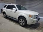 2009 Ford Escape Limited