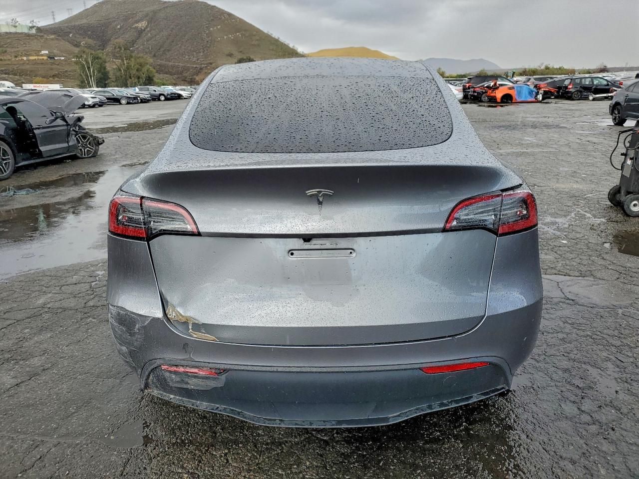 2025 Tesla Model y