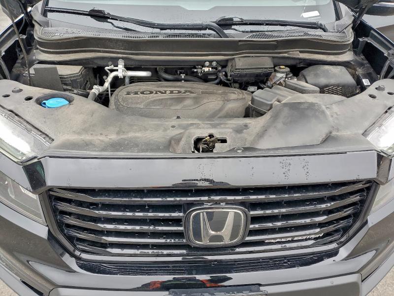 2024 Honda Passport Black Edition