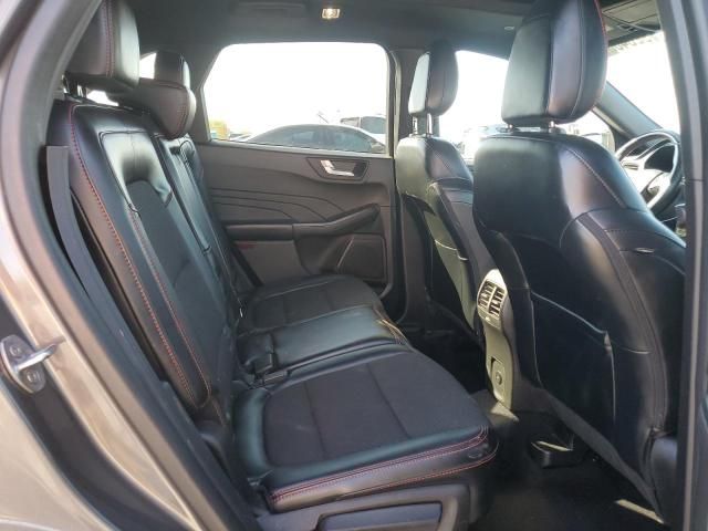 2023 Ford Escape st Line