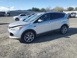 Ford salvage cars for sale: 2014 Ford Escape Titanium