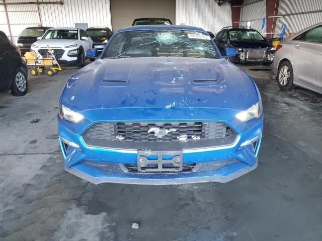 2019 Ford Mustang