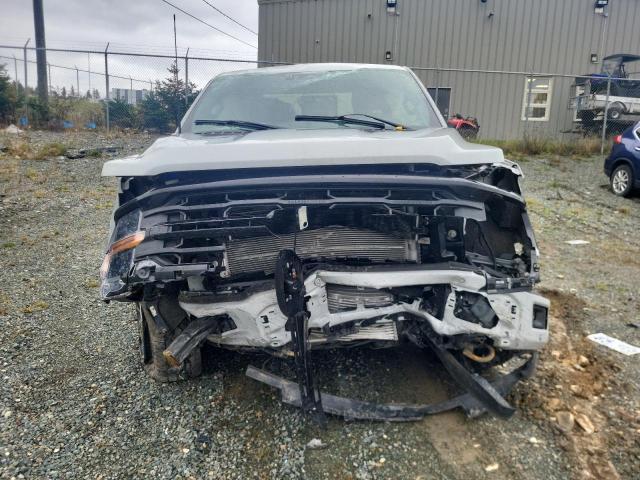 2024 Ford F150 xlt