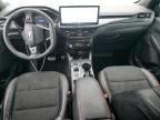2024 Ford Escape st Line