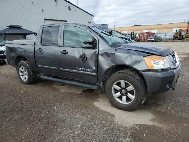 2012 Niss Titan sv