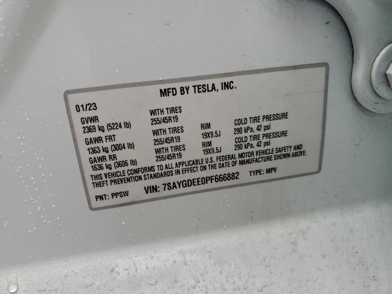 2023 Tesla Model y