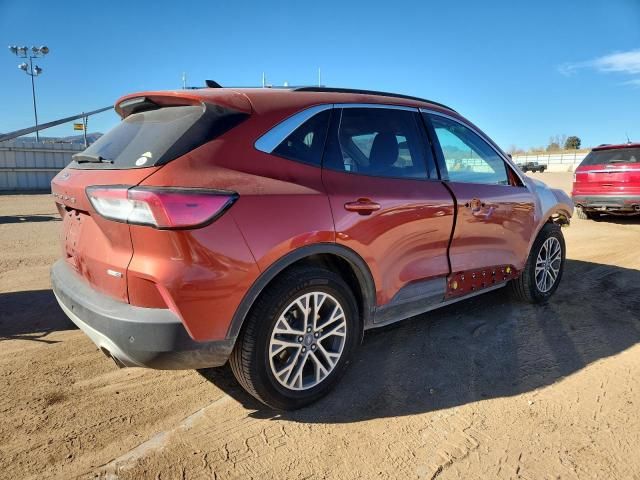 2020 Ford Escape sel