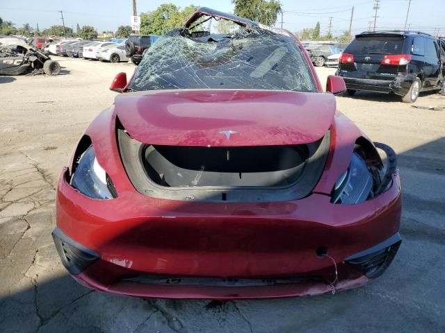 2025 Tesla Model y