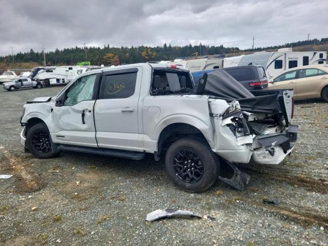 2024 Ford F150 xlt