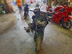 2024 Kawasaki ZR900 F