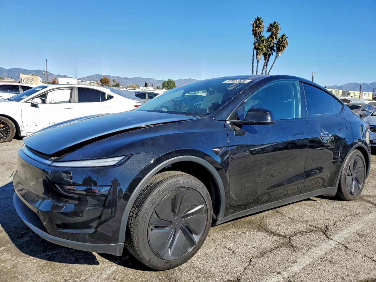 2026 Tesla Model y