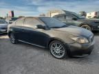 2006 Scion TC