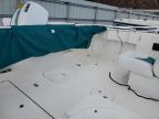 2000 Aquasport Transport  Boat Boat