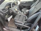 2023 Ford Escape st Line