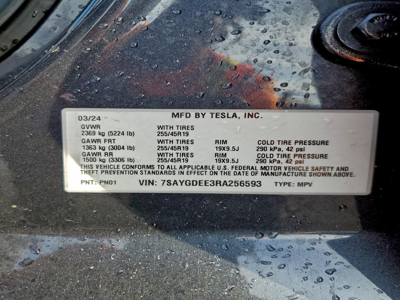 2024 Tesla Model y