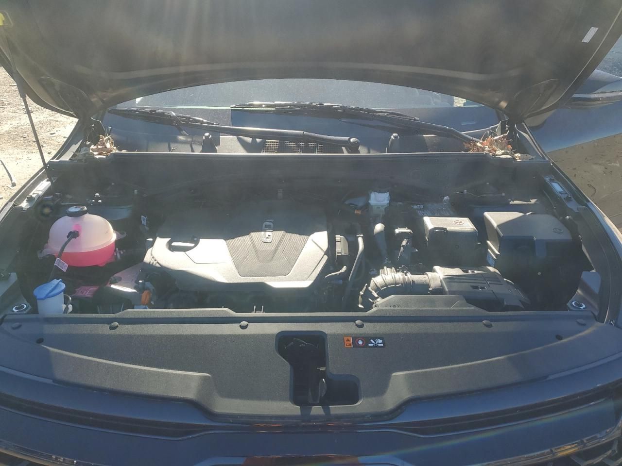 2025 KIA Sportage x Line