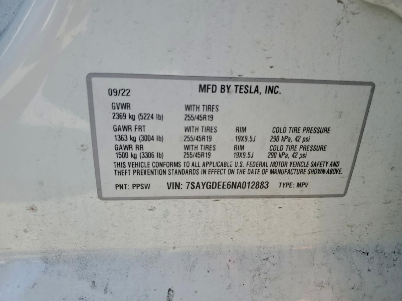 2022 Tesla Model y