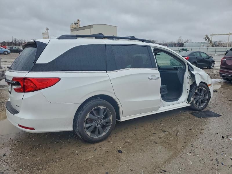2023 Honda Odyssey Elite