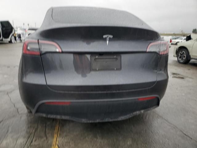 2025 Tesla Model y
