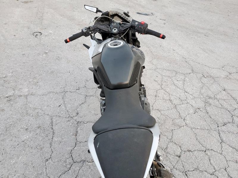 2024 Suzuki GSX800 F