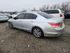 2011 Honda Accord exl