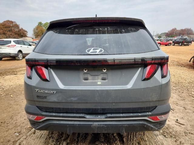 2024 Hyundai Tucson sel