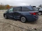 2025 Honda Odyssey exl