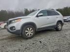2011 KIA Sorento Base