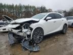 2024 Lexus Rx 350h Base