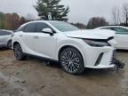 2024 Lexus Rx 350h Base