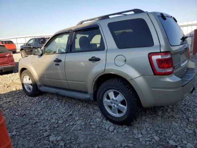 2010 Ford Escape xlt
