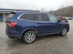 2019 Honda Pilot exl