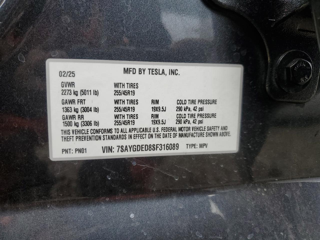 2025 Tesla Model y