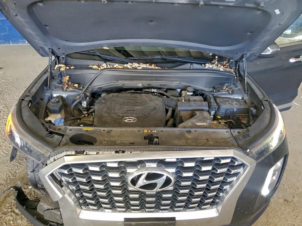 2020 Hyundai Palisade sel