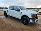 2024 Ford F150 xlt