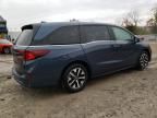 2025 Honda Odyssey exl