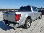 2024 Ford F150 xlt