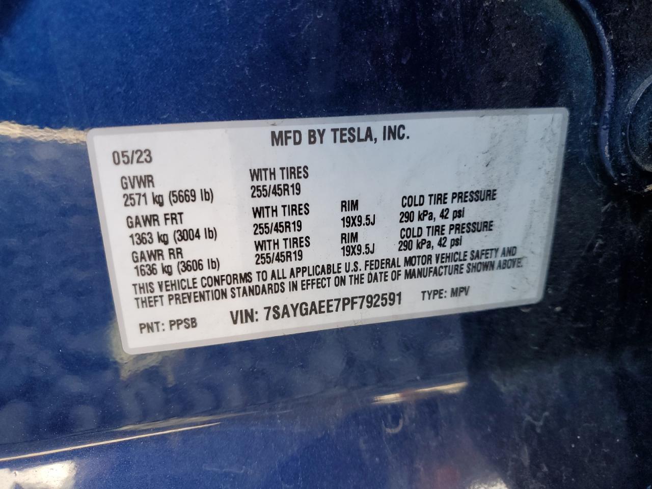 2023 Tesla Model y
