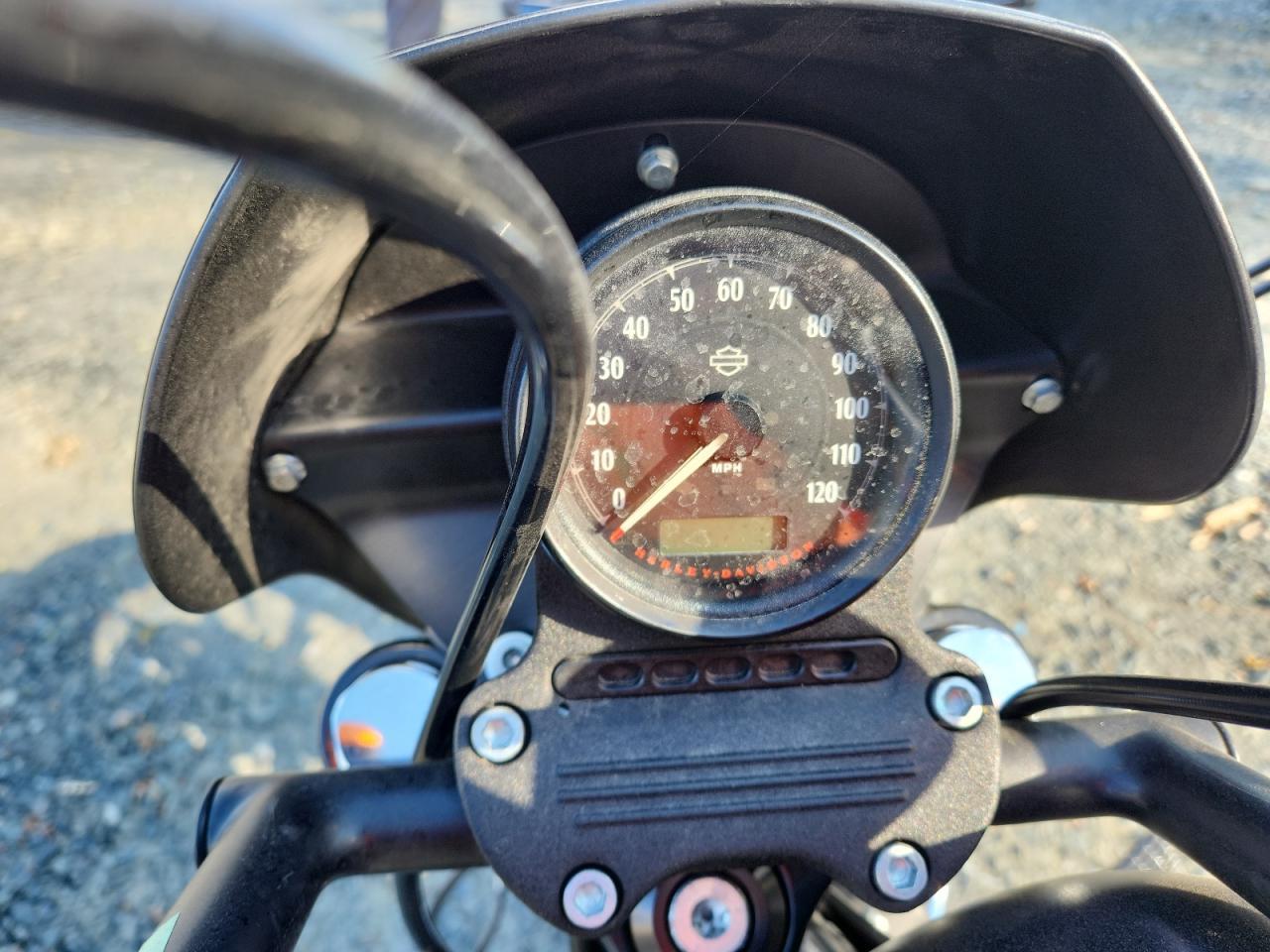 2021 Harley-Davidson XL883 N