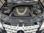 2010 Mercedes-Benz Ml 350 4matic