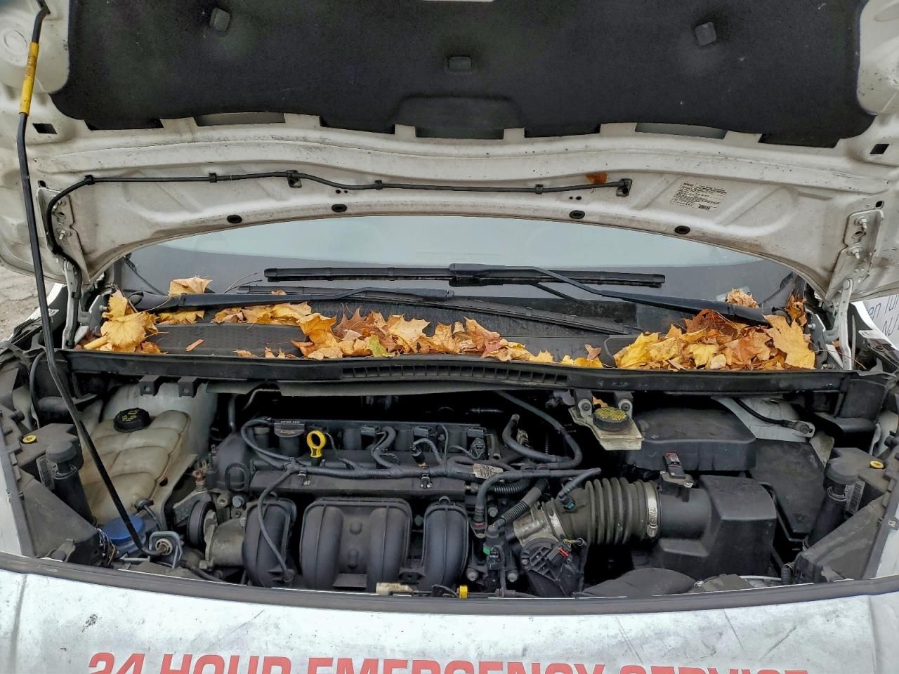 2015 Ford Transit Connect XLT